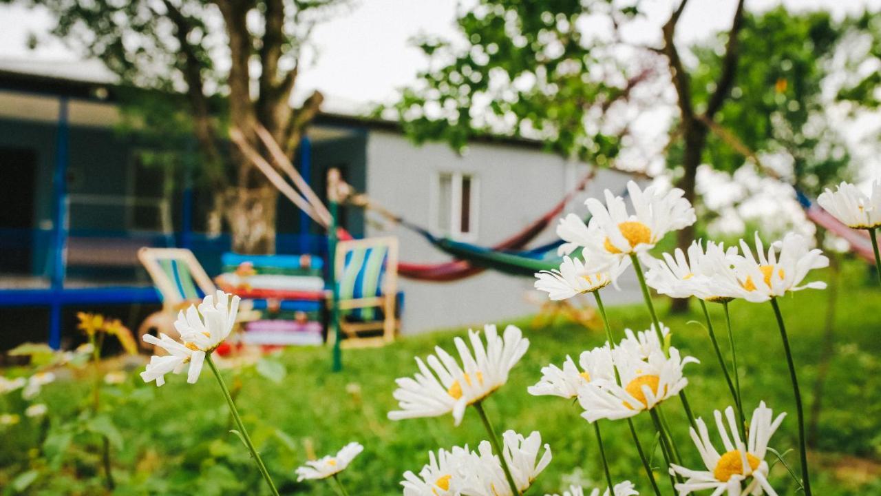 Bebo Babu Guest House كوتايسي المظهر الخارجي الصورة