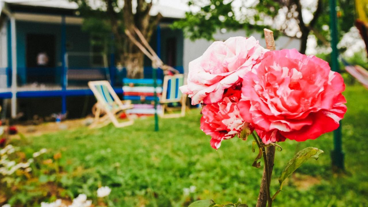 Bebo Babu Guest House كوتايسي المظهر الخارجي الصورة